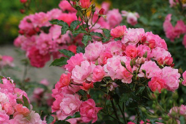 Solutions innovantes de direct abris pour votre extérieur