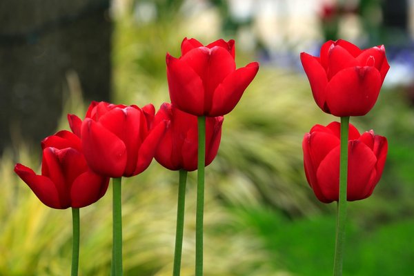 Adoptez l'électricité verte ilek pour un avenir durable