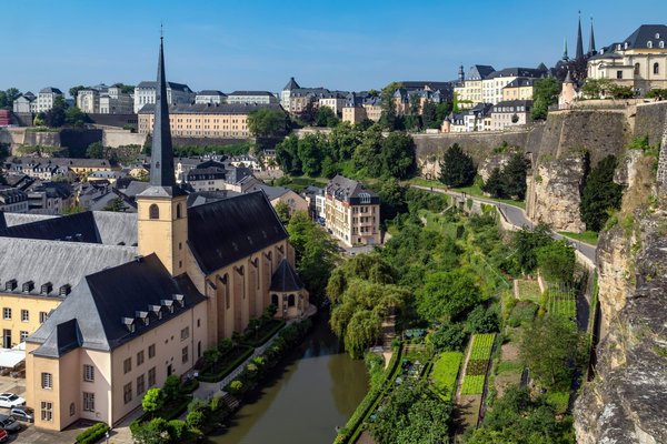 Comment choisir la race de poules la plus adaptée pour un petit jardin en ville?