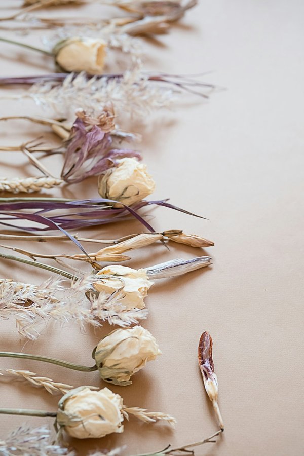 Découvrez l'univers créatif de la fleur séchée